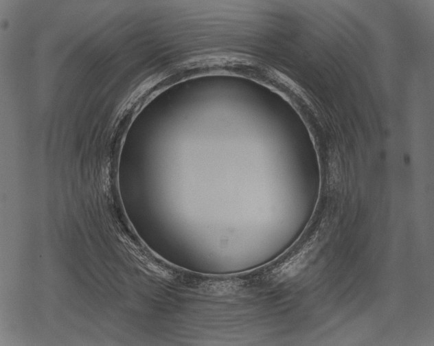 X0000068890778200605081319