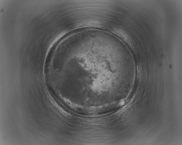 X0000068890780200605081318