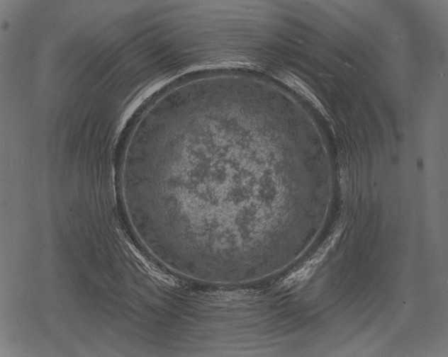 X0000068890781200605081318