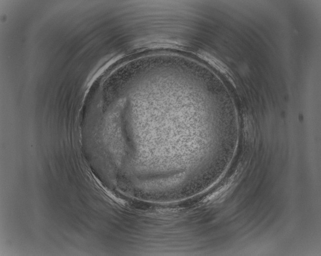 X0000068890782200605081318