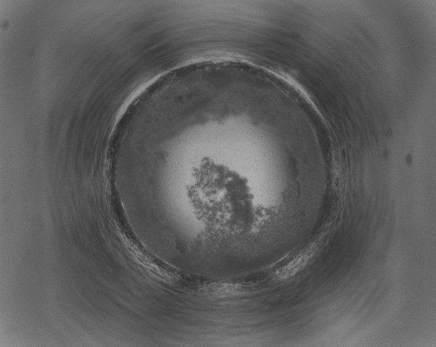 X0000068890783200605081318