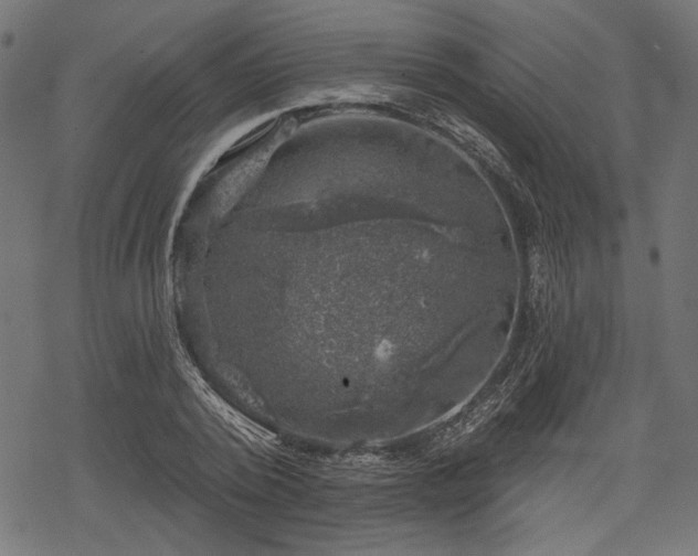 X0000068890784200605081318