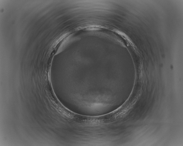 X0000068890785200605081318