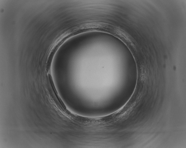 X0000068890786200605081318