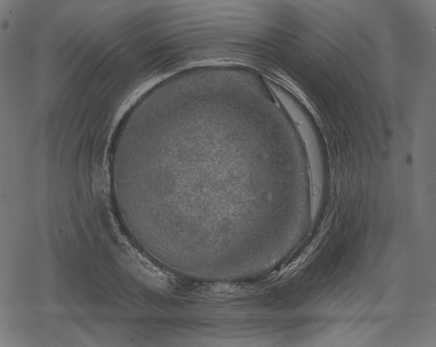 X0000068890787200605081318