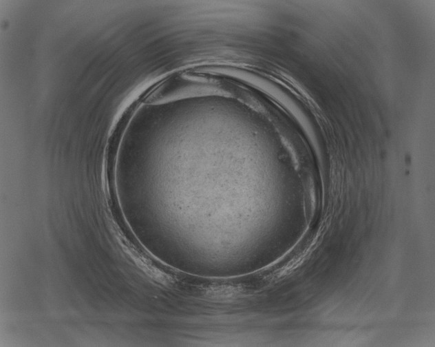 X0000068890788200605081318