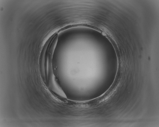 X0000068890789200605081318