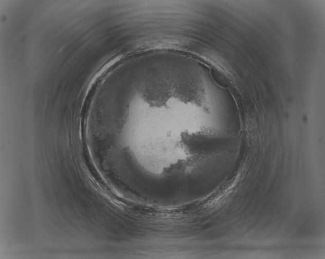 X0000068890790200605081318