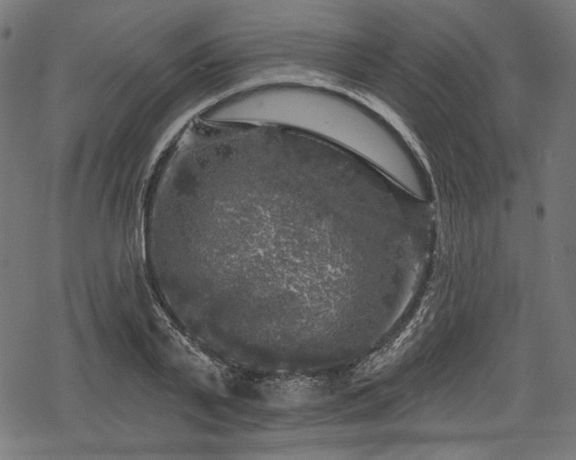 X0000068890791200605081318