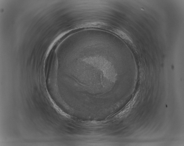 X0000068890792200605081318