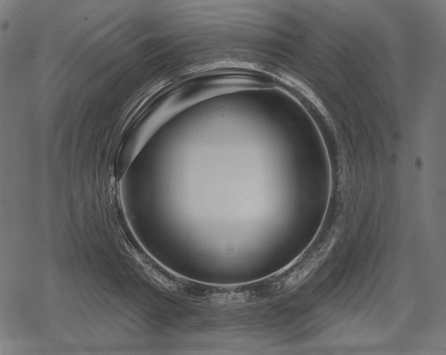 X0000068890793200605081318