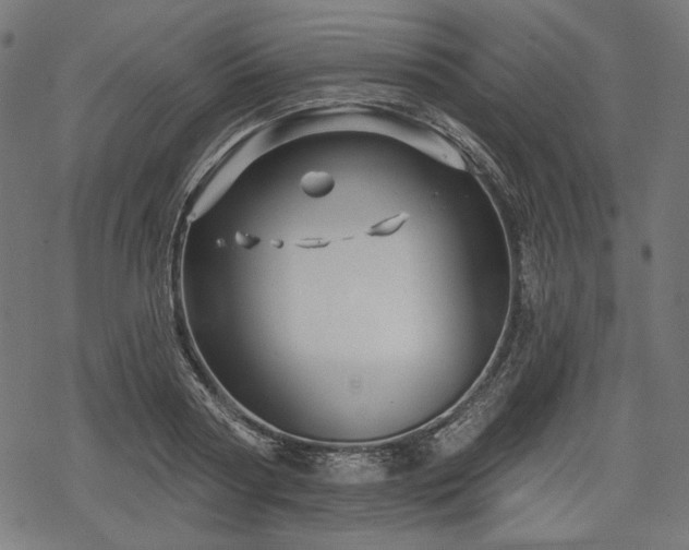 X0000068890794200605081318