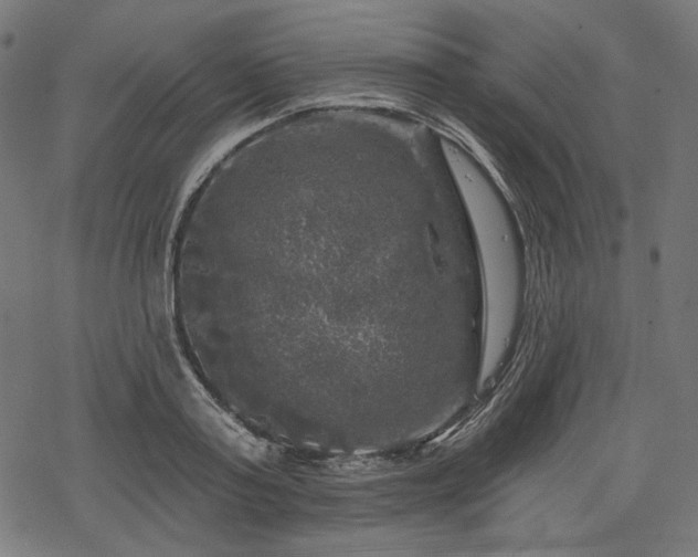 X0000068890795200605081318