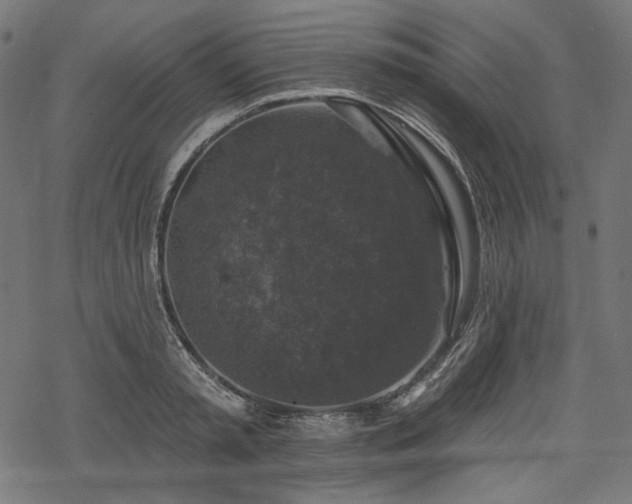 X0000068890797200605081318