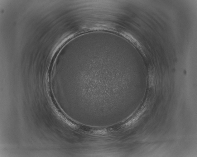 X0000068890798200605081318