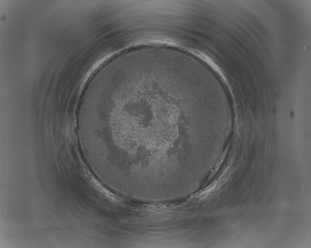 X0000068890799200605081318