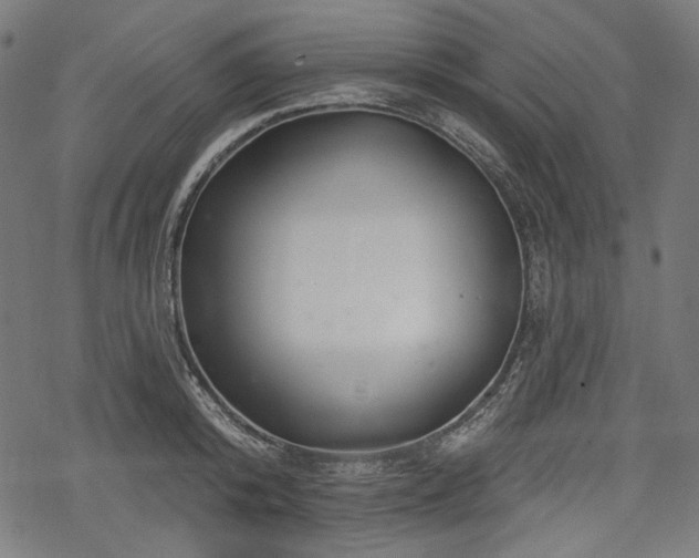 X0000068890800200605081318