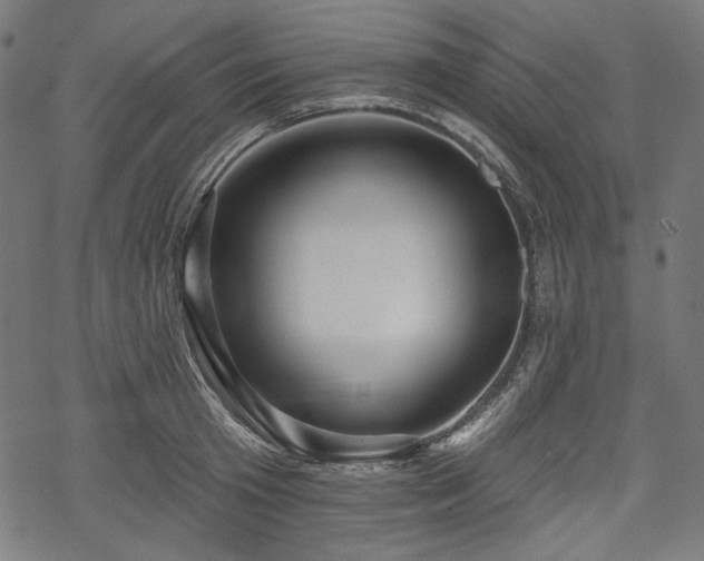 X0000068890801200605081318