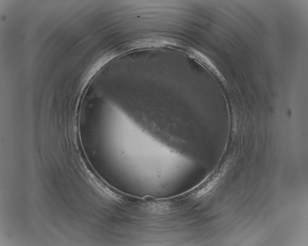 X0000068890802200605081318