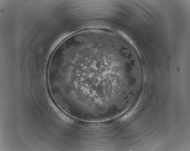 X0000068890803200605081318