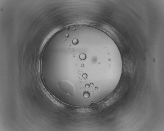 X0000068890804200605081318