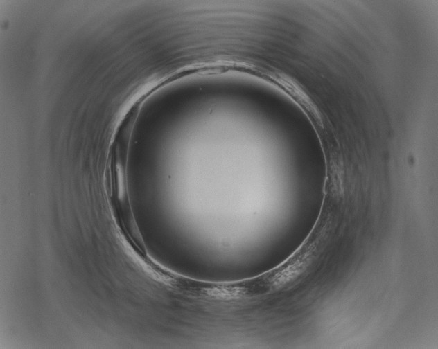 X0000068890805200605081318