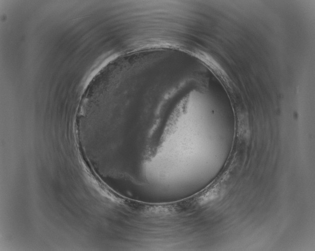 X0000068890806200605081318