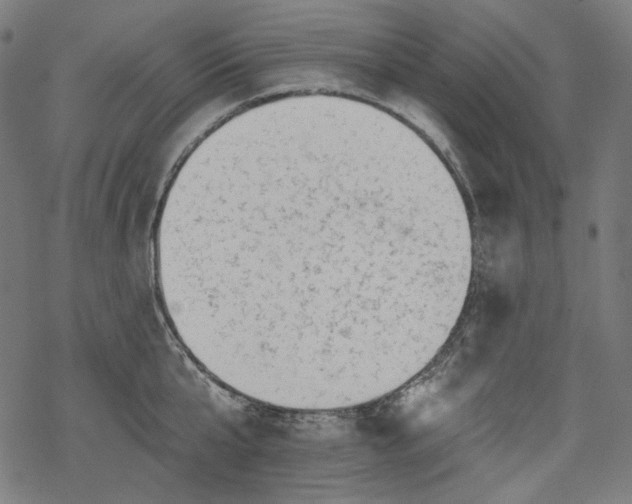 X0000068890807200605081318