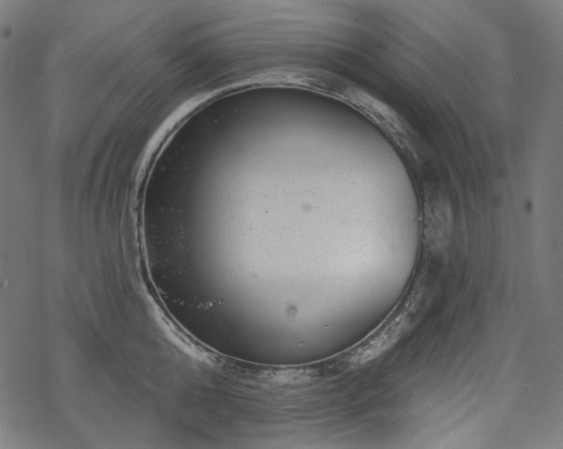 X0000068890808200605081318