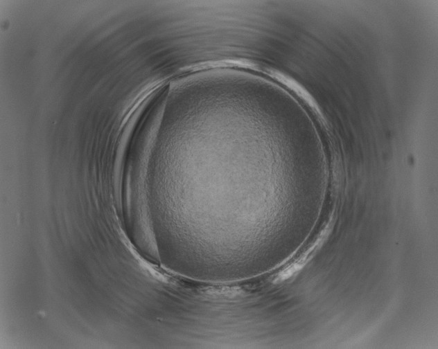 X0000068890809200605081318