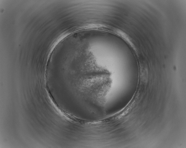 X0000068890810200605081318