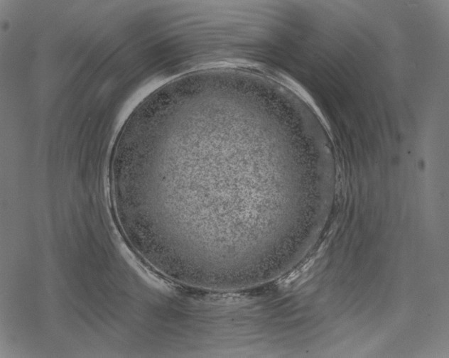 X0000068890811200605081318