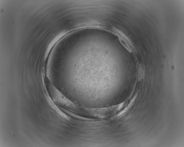 X0000068890812200605081318