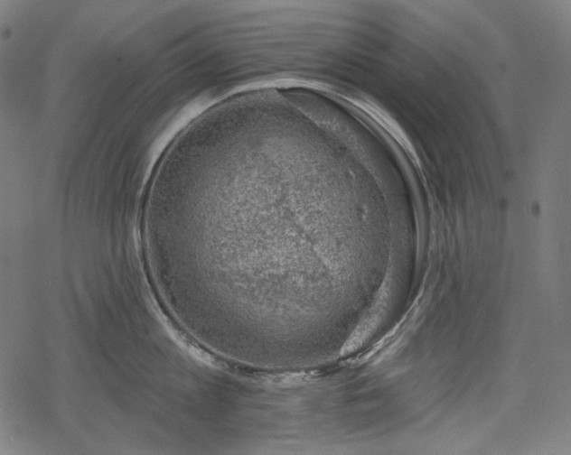 X0000068890813200605081318