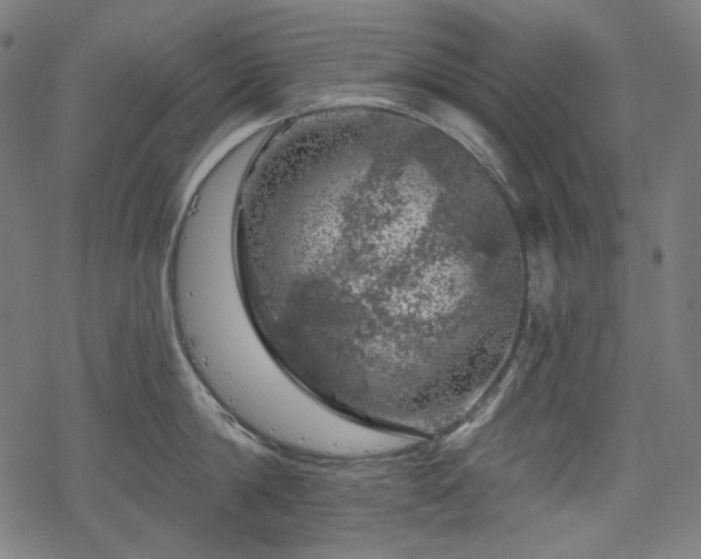 X0000068890814200605081318