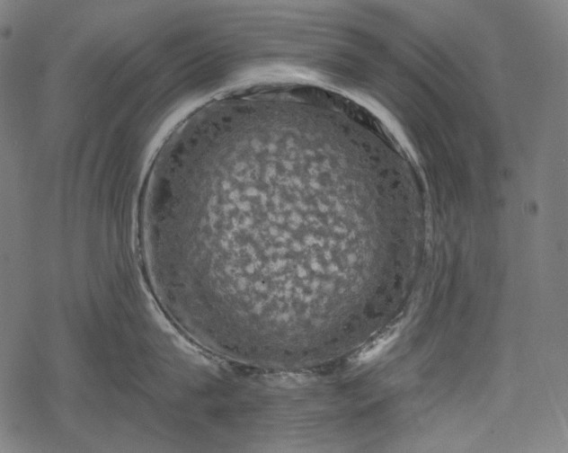 X0000068890815200605081318