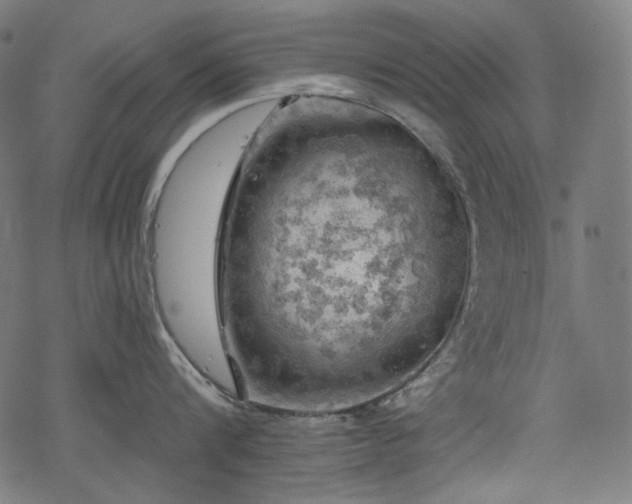 X0000068890816200605081318