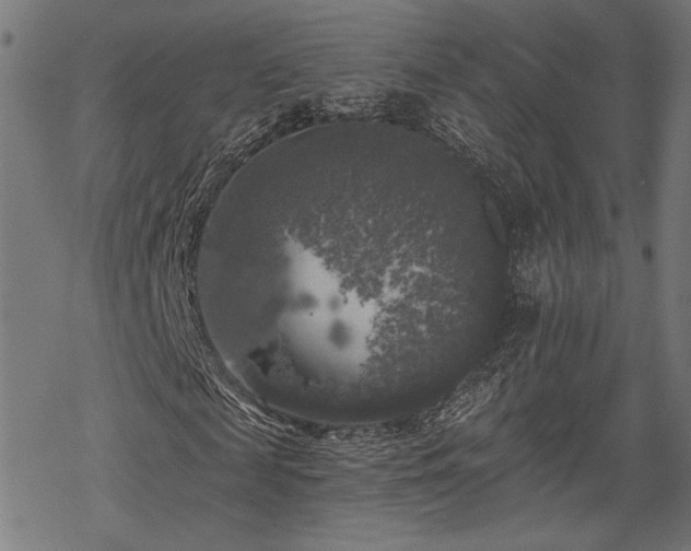 X0000068890817200605081317