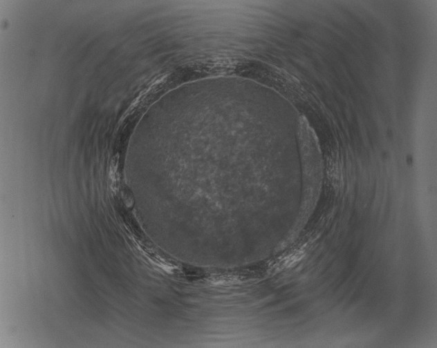 X0000068890818200605081317