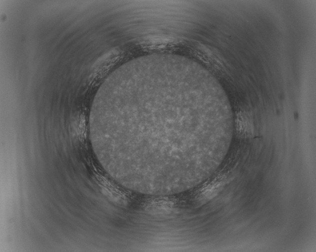 X0000068890820200605081317