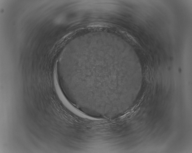 X0000068890821200605081317