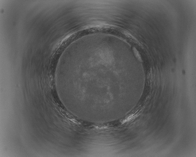 X0000068890822200605081317