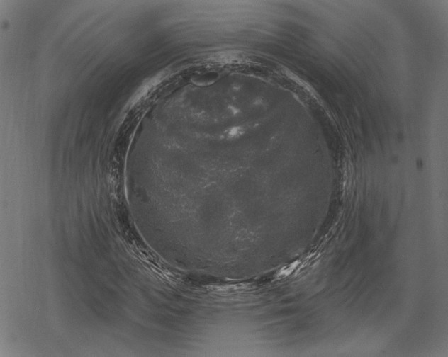 X0000068890823200605081317