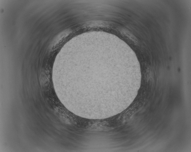 X0000068890824200605081317