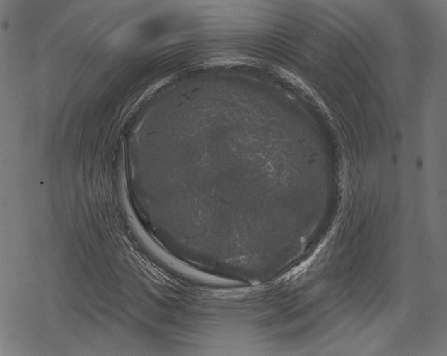 X0000068890825200605081317