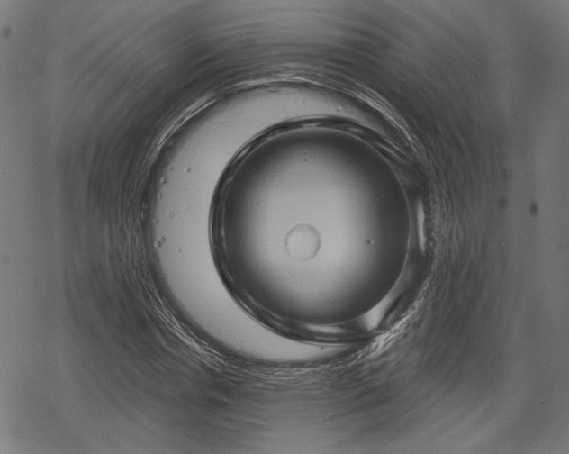 X0000068890826200605081317