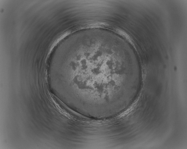 X0000068890827200605081317