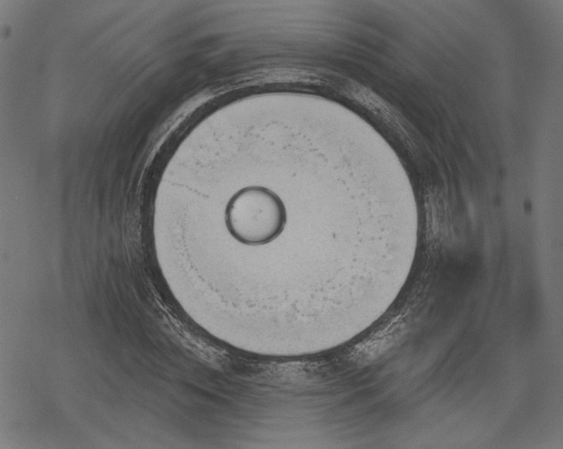 X0000068890828200605081317