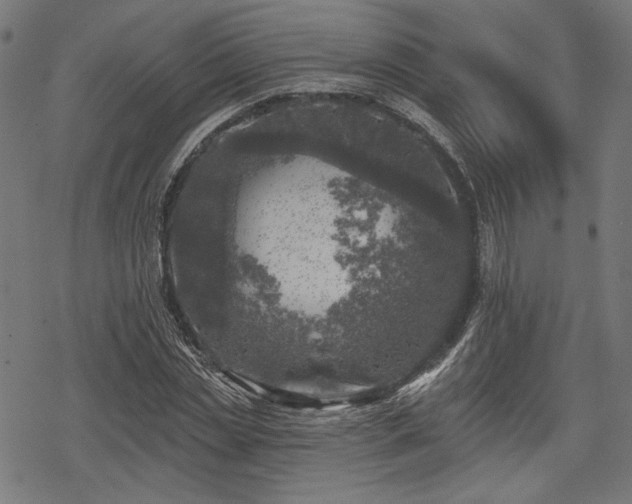 X0000068890829200605081317