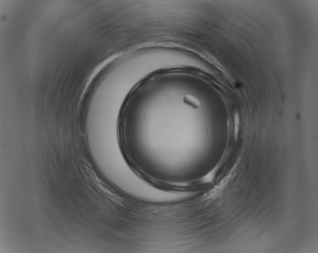 X0000068890830200605081317